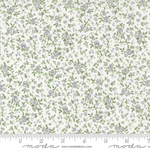 Dwell Cream & Grass Meadow Yardage 55277-31 by Camille Roskelley