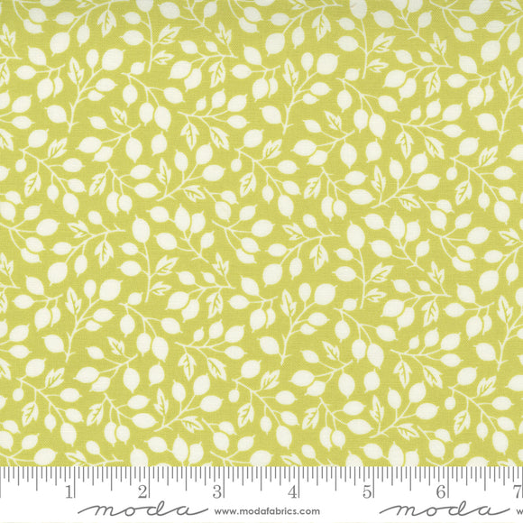 Pumpkins & Blossoms Sprout Rosehips Yardage 20421-14 by Fig Tree & Co. High quality quilting cotton fabrics with green and white floral print.  small rosehip berries and leaves.  Made by Moda Fabrics.