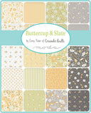 Buttercup and Slate Layer Cake by Corey Yoder