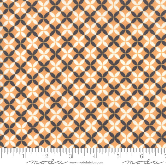 All Hallow's Eve Pumpkin Crisscross 20356-11 by Fig Tree & Co. yardage for Moda Fabrics.  Orange cream and black design on high quality quilting cotton fabric.