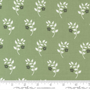 Dwell Grass Homebody Yardage 55271-17 by Camille Roskelley