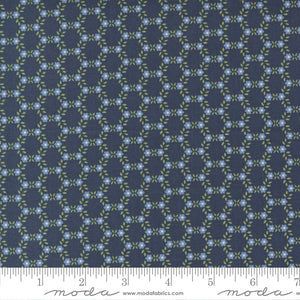 Dwell Navy Spring Yardage 55275-13 by Camille Roskelley