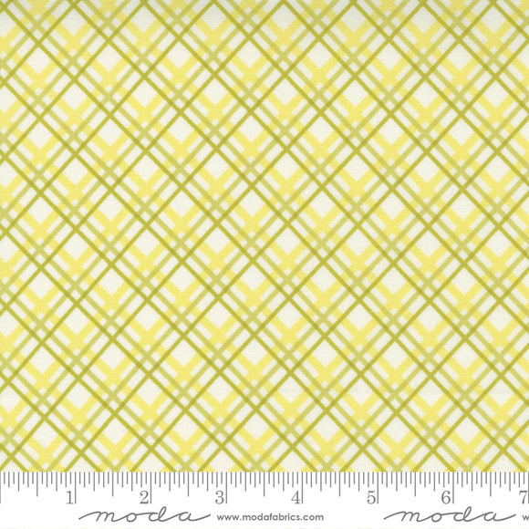 Pumpkins & Blossoms Sprout Plaid Yardage 20424-24 by Fig Tree & Co. High quality quilting cotton fabric with green and white diagonal plaid print.  Made by Moda Fabrics.