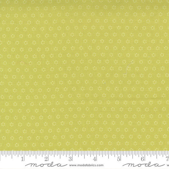 Pumpkins & Blossoms Sprout Polka Dot Circles Yardage 20428-14 by Fig Tree & Co. High quality quilting cotton fabric with green background and white polka dot circles.  Made by Moda Fabrics.